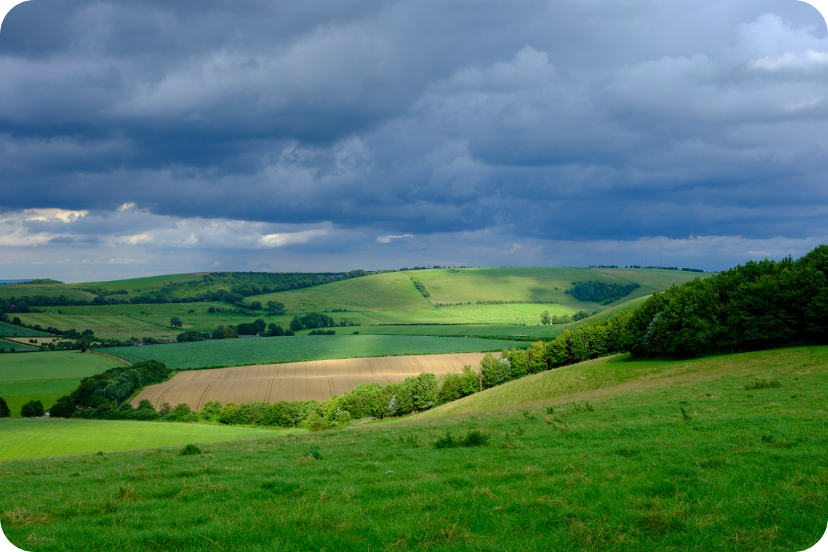 Hampshire 2